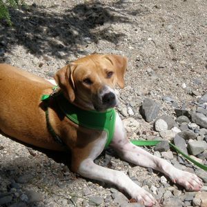 Meet your Posher, Tykhé